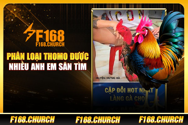 Phân loại Thomo được nhiều anh em săn tìm